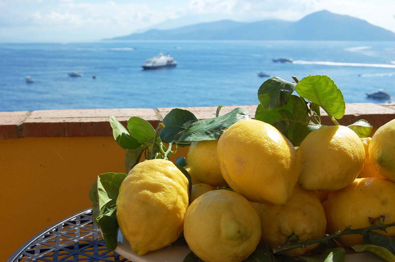 卡普里La Terrazza Sul Mare住宿加早餐旅馆 外观 照片
