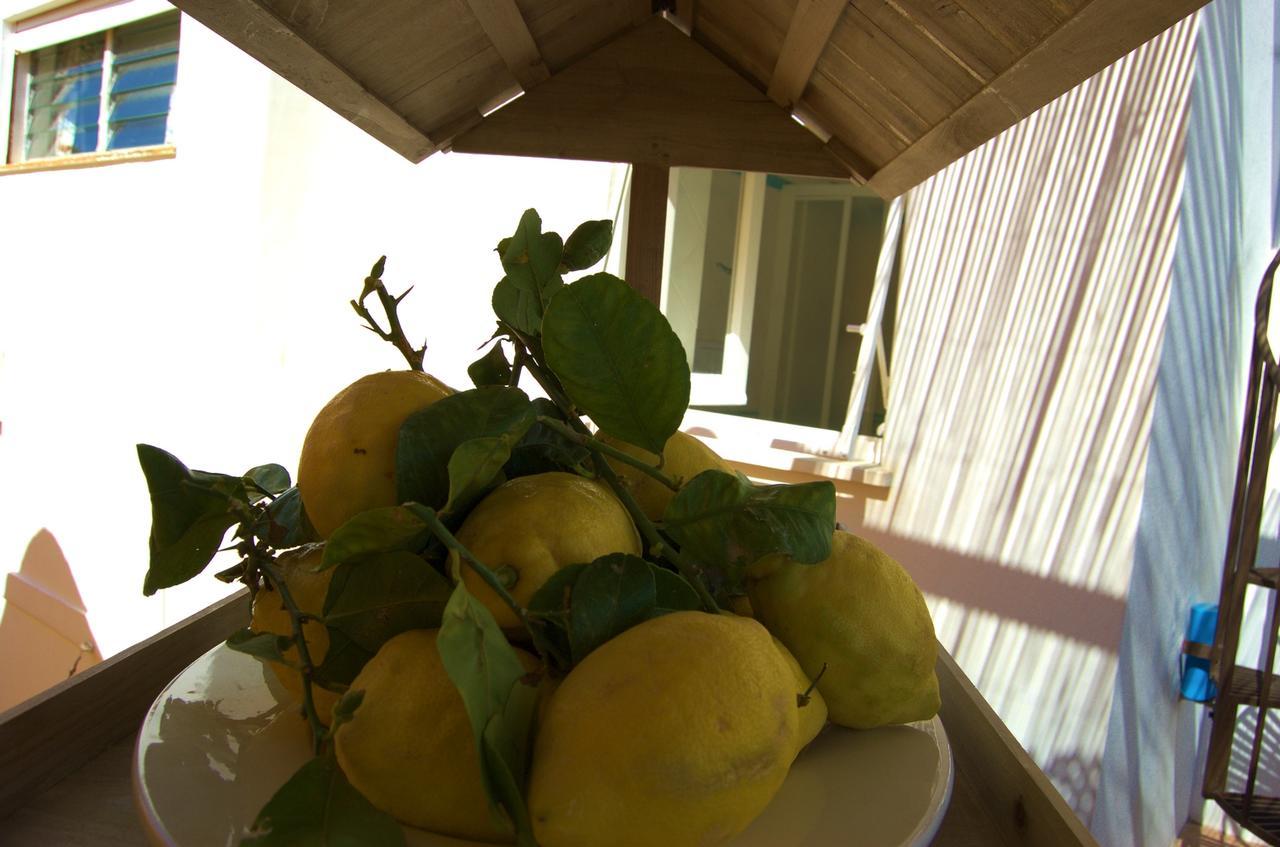卡普里La Terrazza Sul Mare住宿加早餐旅馆 外观 照片
